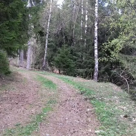 Tatil Evi Stoanlenz Hütte Wiel