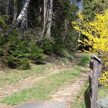 Stoanlenz Hütte *
